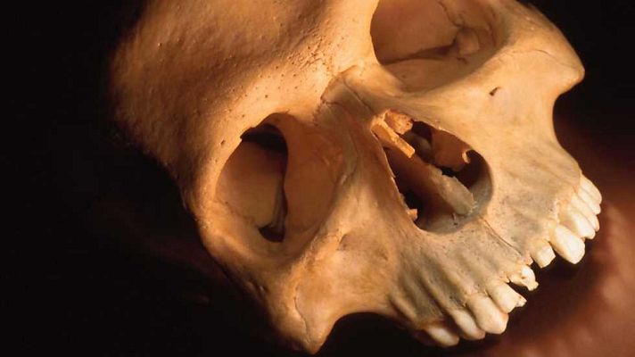 Universo humano - De mono a astronauta