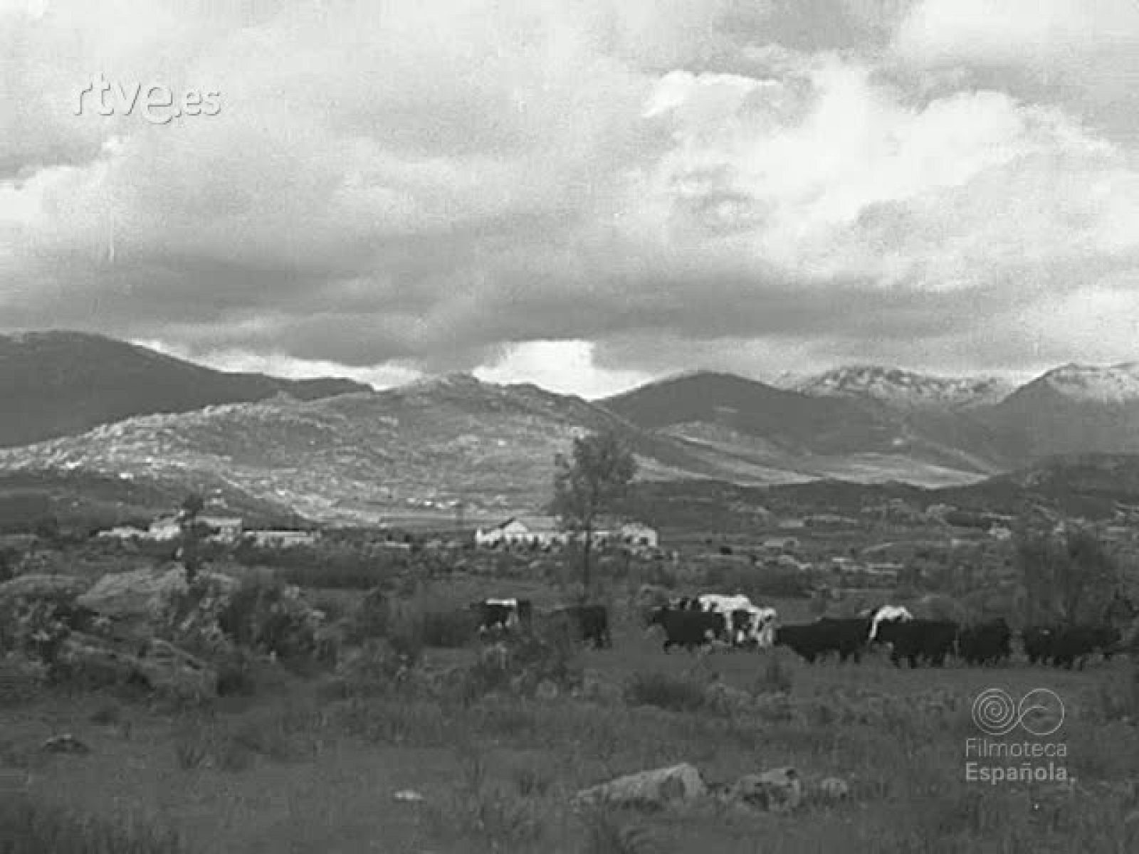 TIENTA EN LA FINCA LOS LABAJOS | Ver