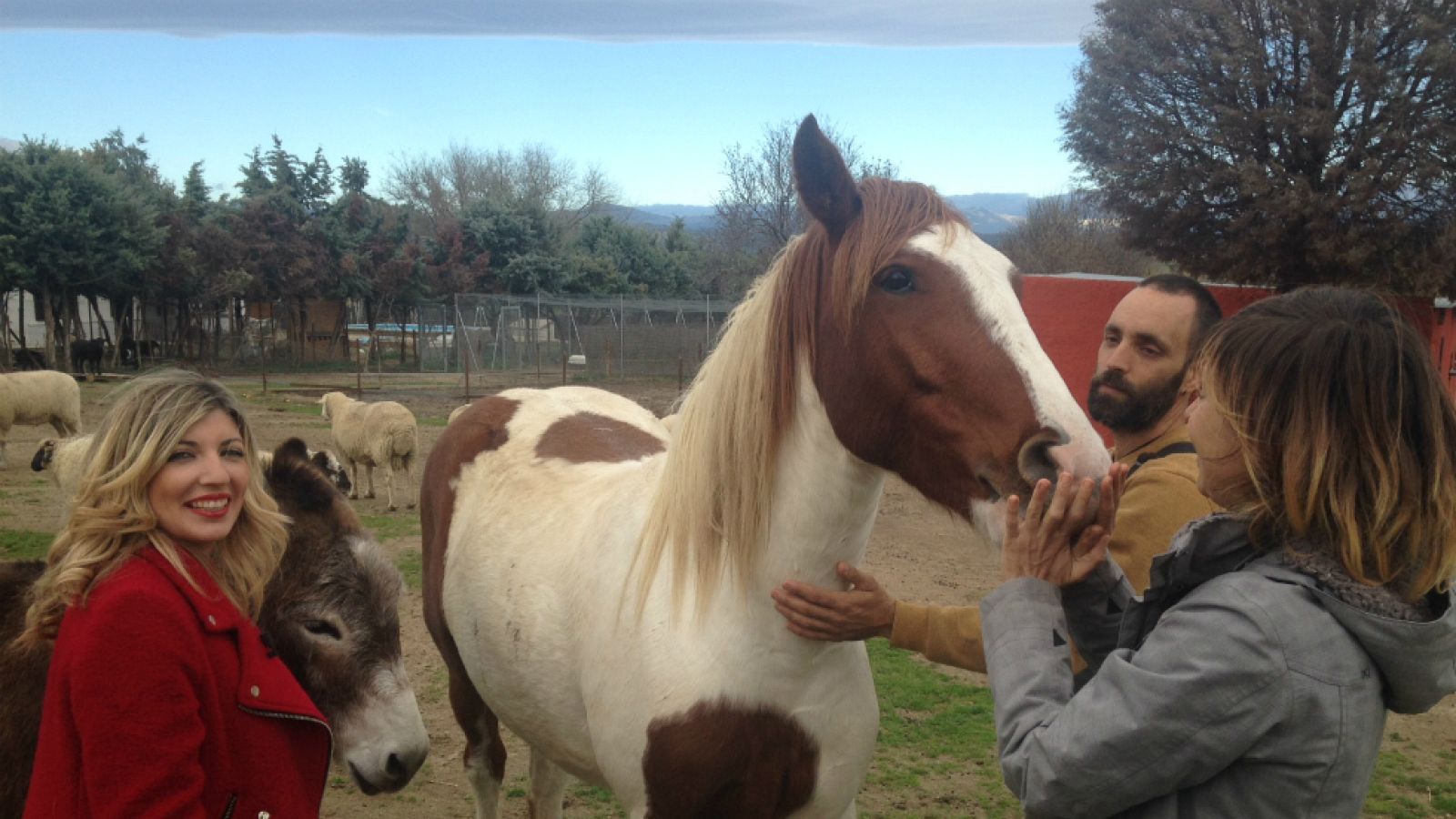 Maravilloso santuario de animales