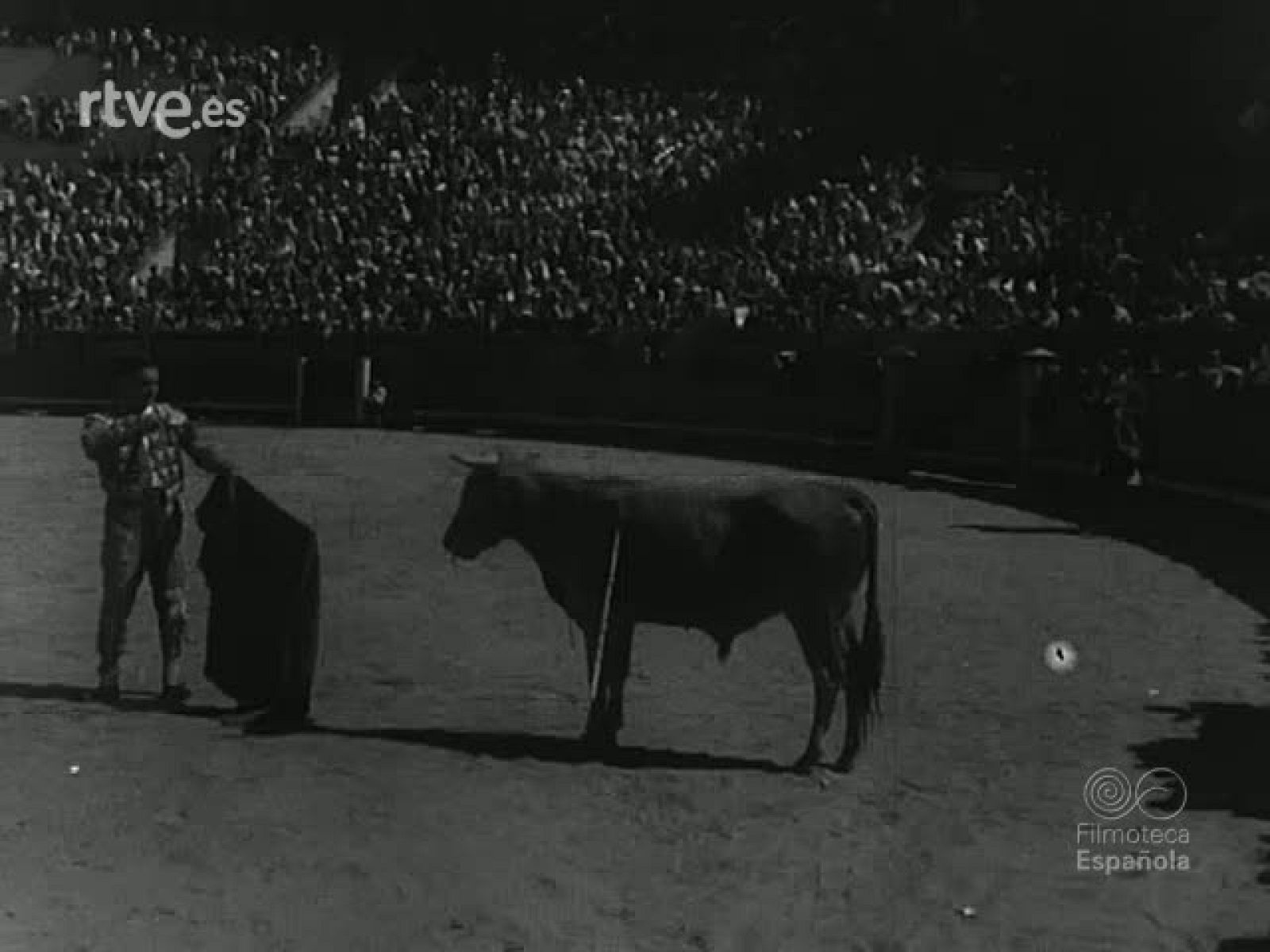 BECERRADA DE LOS CARNICEROS | Ver