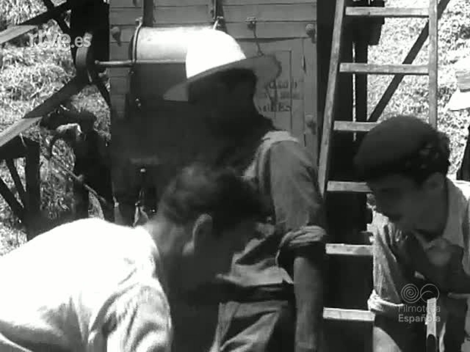 LABORES AGRARIAS (MATERIALES SIN MONTAR) | Ver