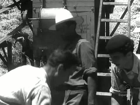 Archivo Histórico - LABORES AGRARIAS (MATERIALES SIN MONTAR)