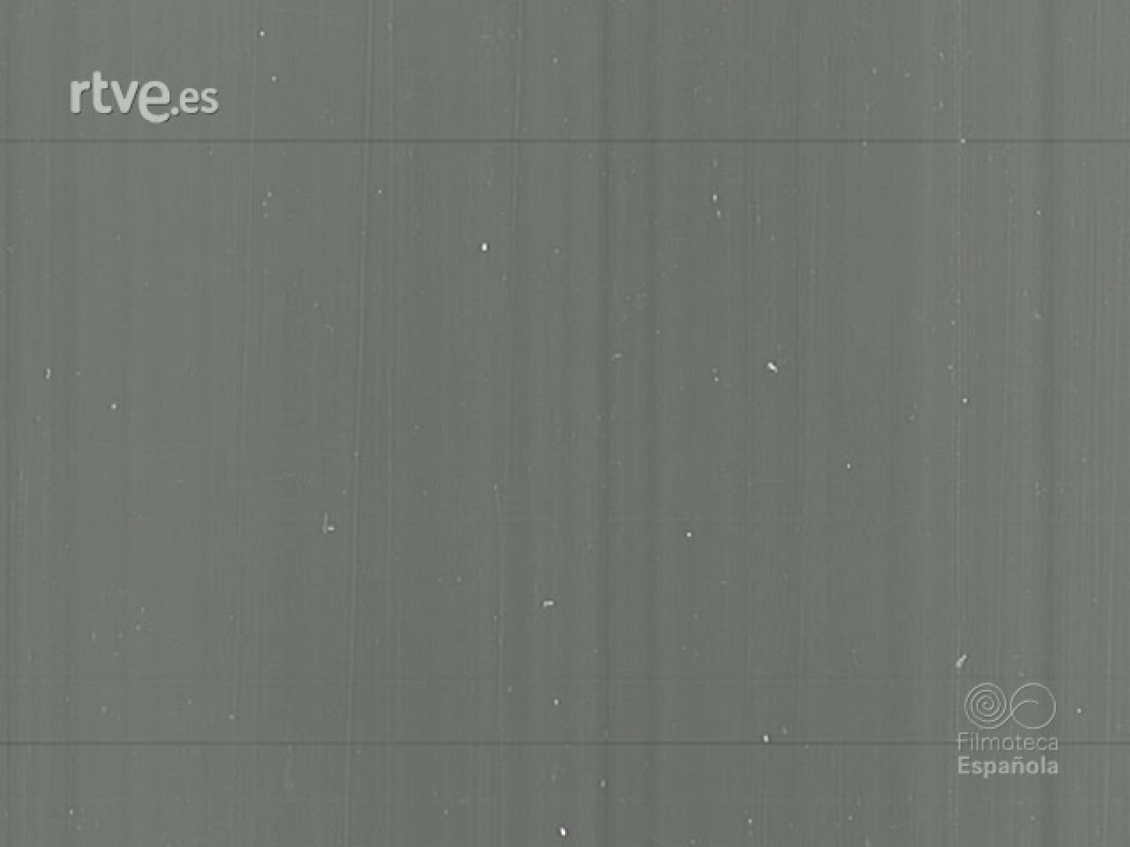 CESAREO GONZALEZ EN BRASIL | Ver