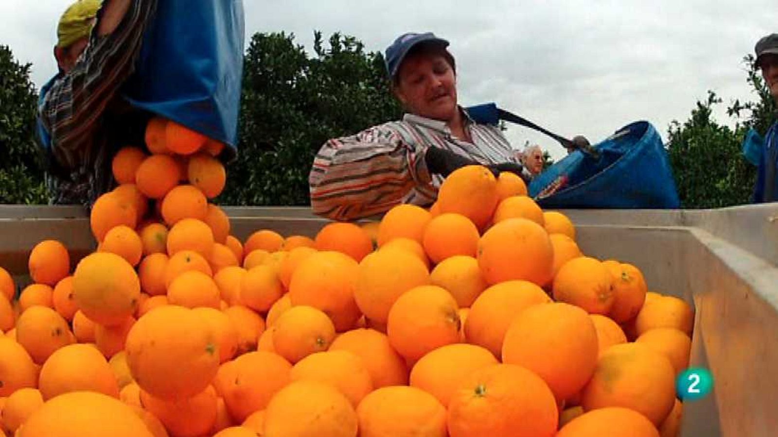 Guardianes de la biodiversidad - Agricultores - Ver ahora
