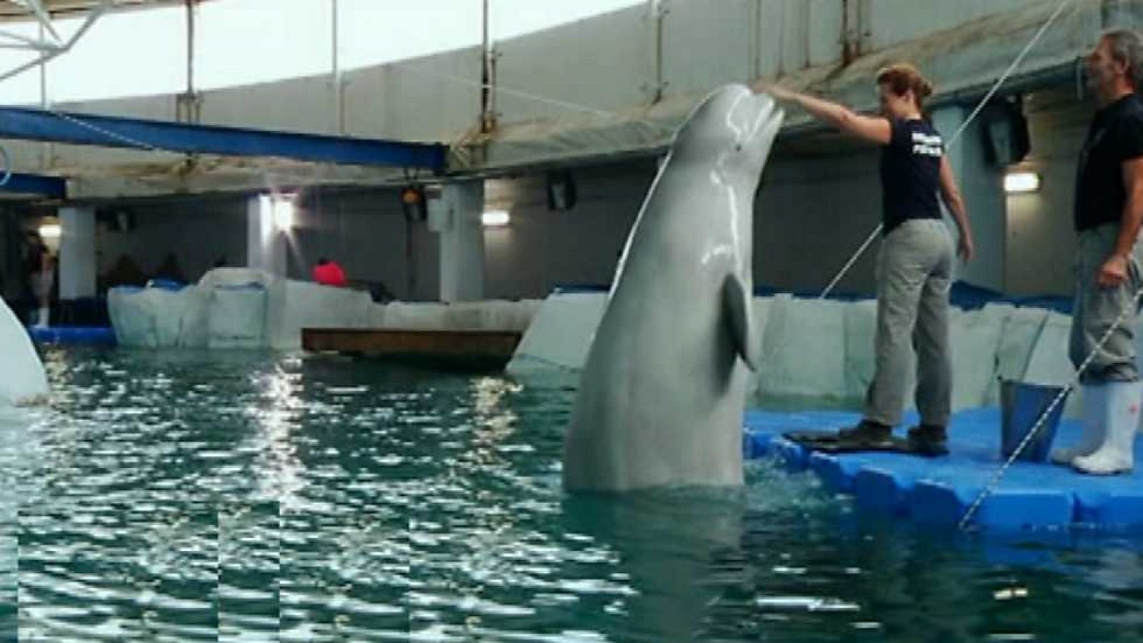 Lo que hay que ver - 28/12/14 - Ver ahora