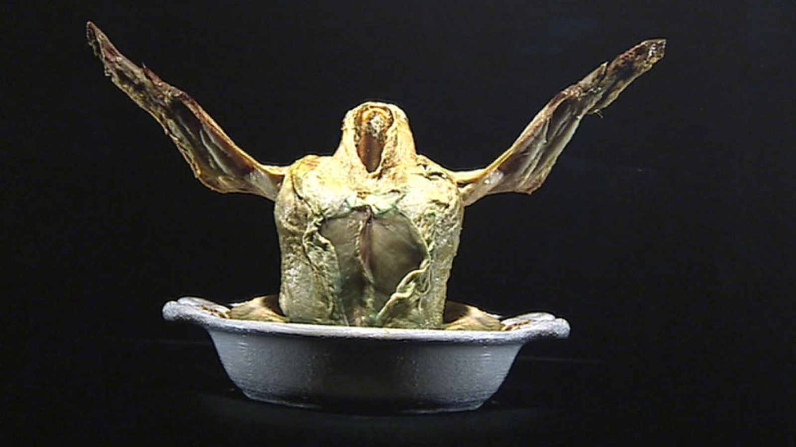 Drap Art, una exposición de obras realizadas con objetos de vertederos