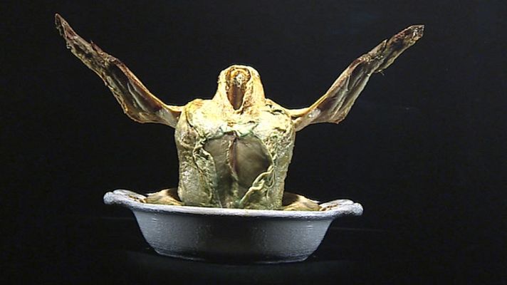 Telediario 1 - Una exposición de obras realizadas con objetos de vertederos