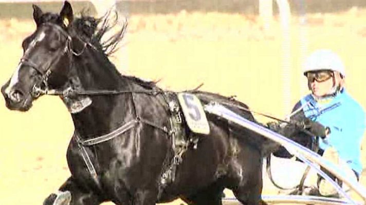 Turf - Turf - 28/12/14