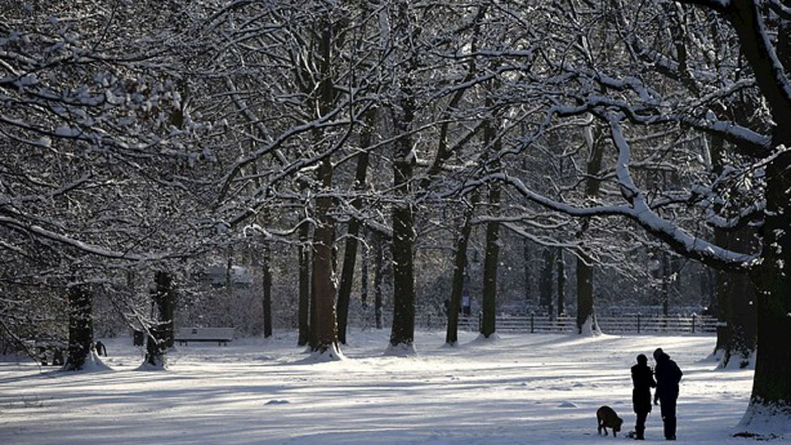 El tiempo en la Comunidad de Madrid - 29/12/14