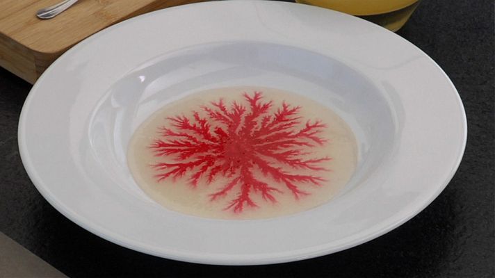 Órbita Laika - Un fractal en el plato