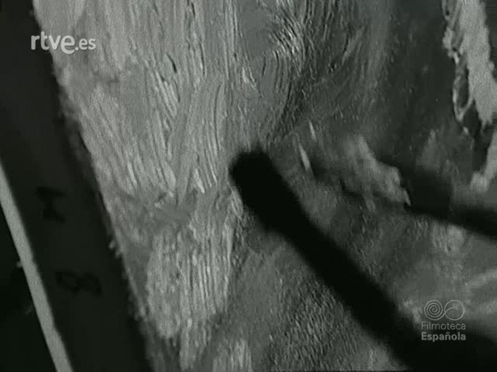 EL CORDOBES PINTOR (MATERIALES SIN MONTAR) | Ver