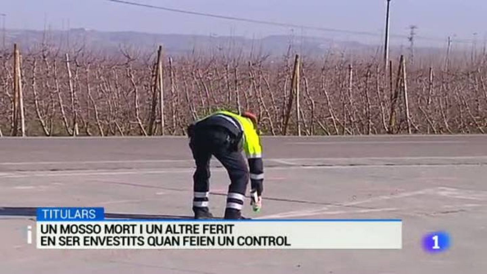 L'Informatiu - 31/12/2014