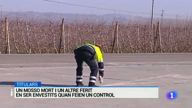 L'Informatiu - 31/12/2014