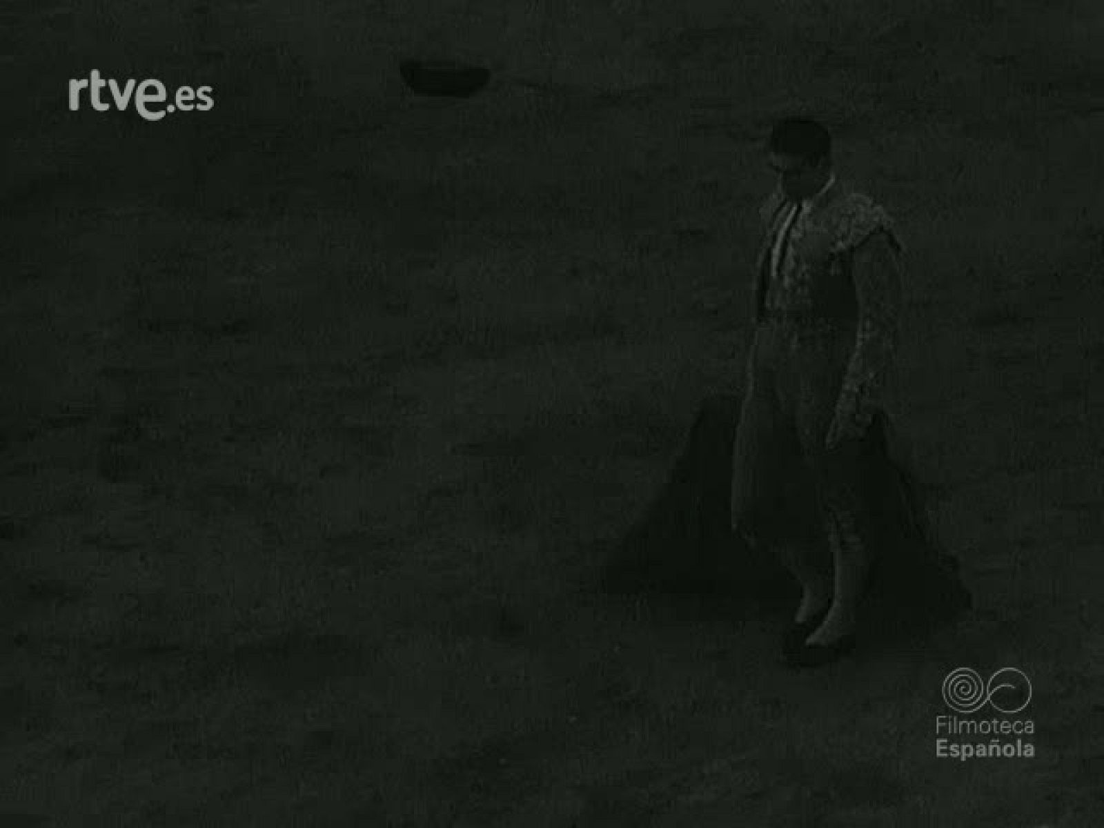 BLANCO Y ORO (TOROS) | Ver