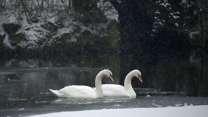 El tiempo - Heladas débiles en el interior peninsular
