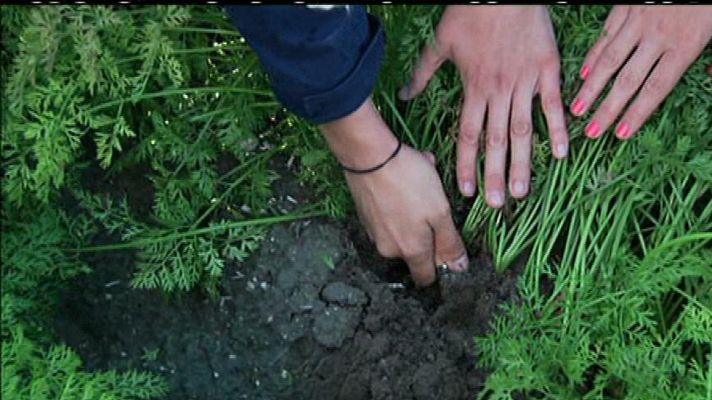 Aquí la Tierra - ¡Viva nuestra tierra!