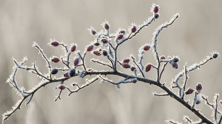 Informativo de Madrid - El tiempo en la Comunidad de Madrid - 02/01/15