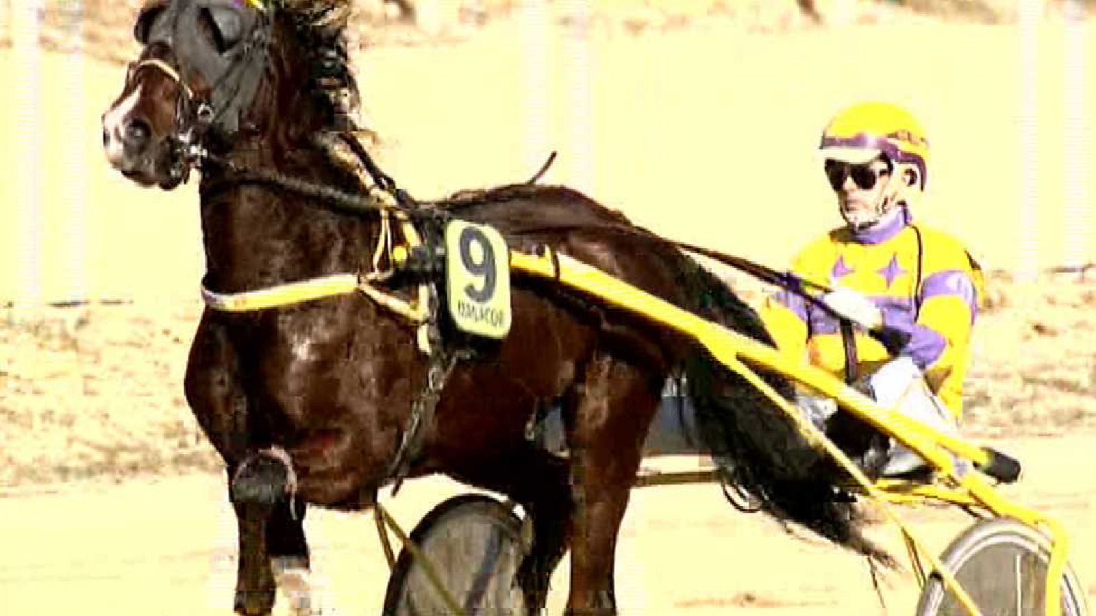 Turf - 04/01/15 - escuchar ahora