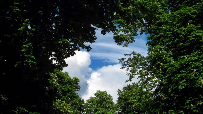 El tiempo - Despejado y con pocas nubes en la mayor parte del país