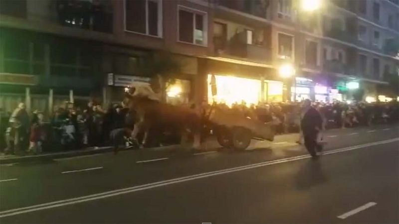 Unos bueyes desbocados causan pánico en la cabalgata de Reyes de Portugalete | Ver