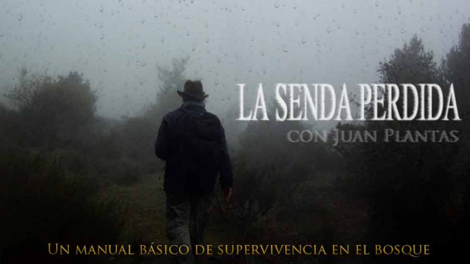 Guía de supervivencia de Juan Plantas