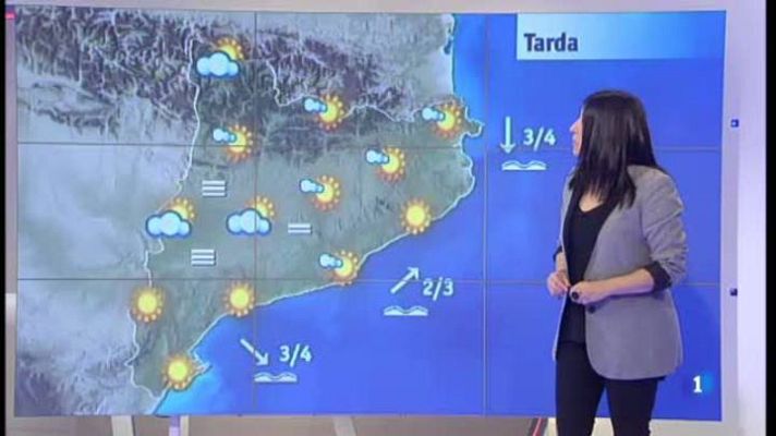 L'Informatiu - El temps - 08/01/15