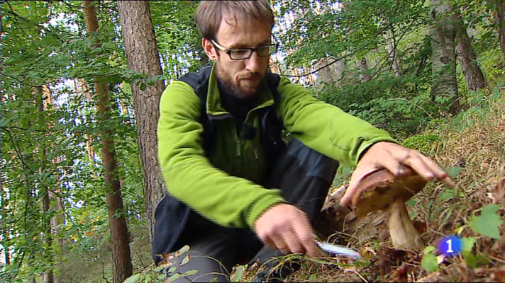 Informativo Telerioja - Informativo Telerioja - 09 /01/15