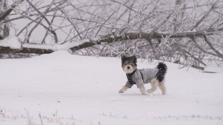 El tiempo - Ascenso de las temperaturas