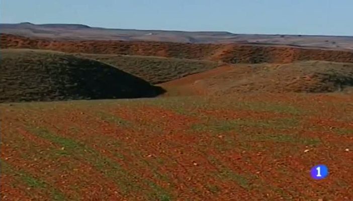 Noticias Aragón - Noticias Aragón 2-09/01/15