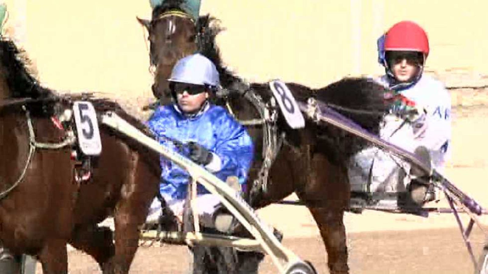 Turf - 11/01/15 - Ver ahora