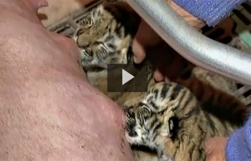 Una 'mamá' diferente