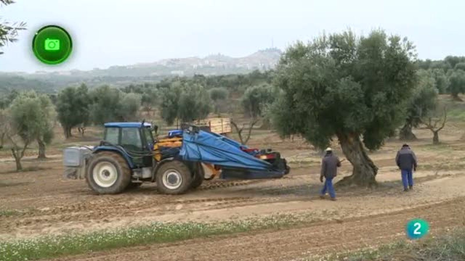 Agrosfera - En clave rural - Calaceite, Teruel