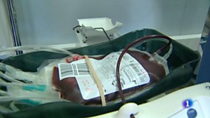 L'informatiu - Comunitat Valenciana - L'Informatiu - Comunitat Valenciana 2 - 12/01/15