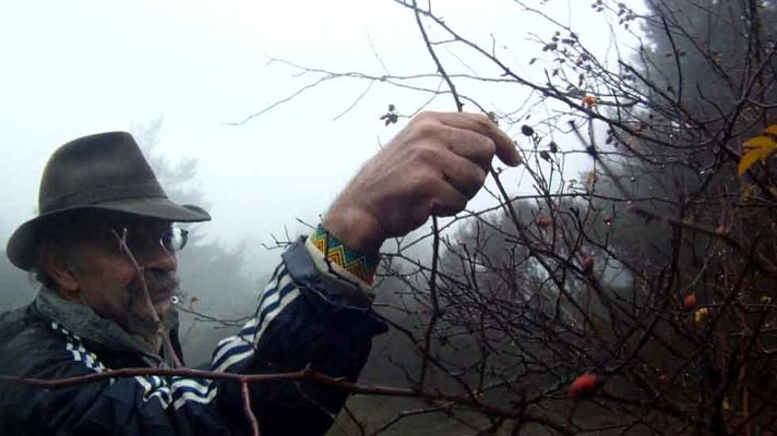 Aquí la Tierra - Consejos para sobrevivir en el bosque
