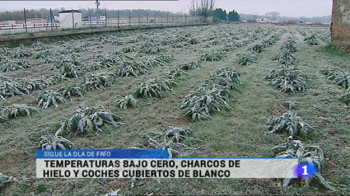 Informativo Telerioja - Informativo Telerioja 2 - 13/01/15