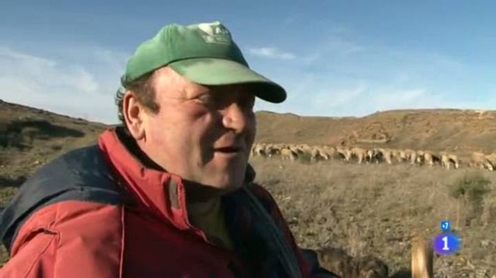 Comando Actualidad - Pastor y poeta