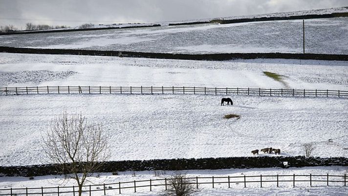 El tiempo - Mañana, viento fuerte en Canarias y nevadas en el norte de la Península