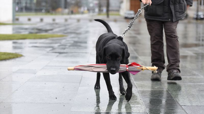 El tiempo en la Comunidad de Madrid - 16/01/15