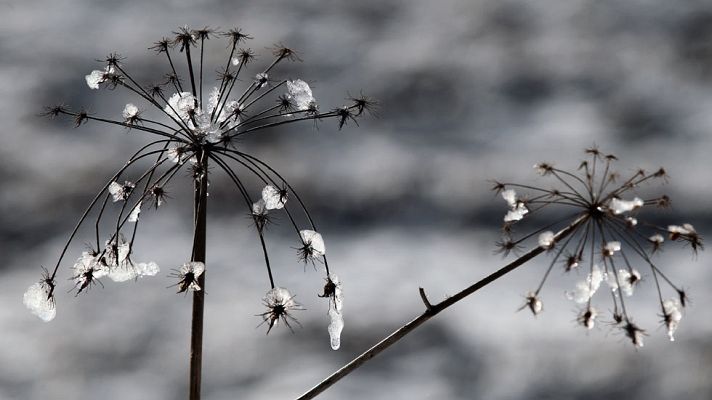 El tiempo - Nieve en cotas bajas del noroeste y mucho frío en casi toda España