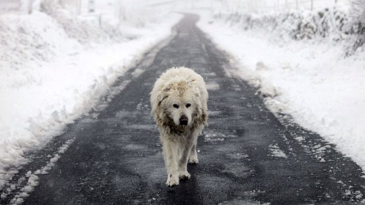 El tiempo - Nevadas en zonas del noroeste peninsular