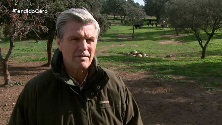 Tendido cero - Tendido Cero - 17/01/15