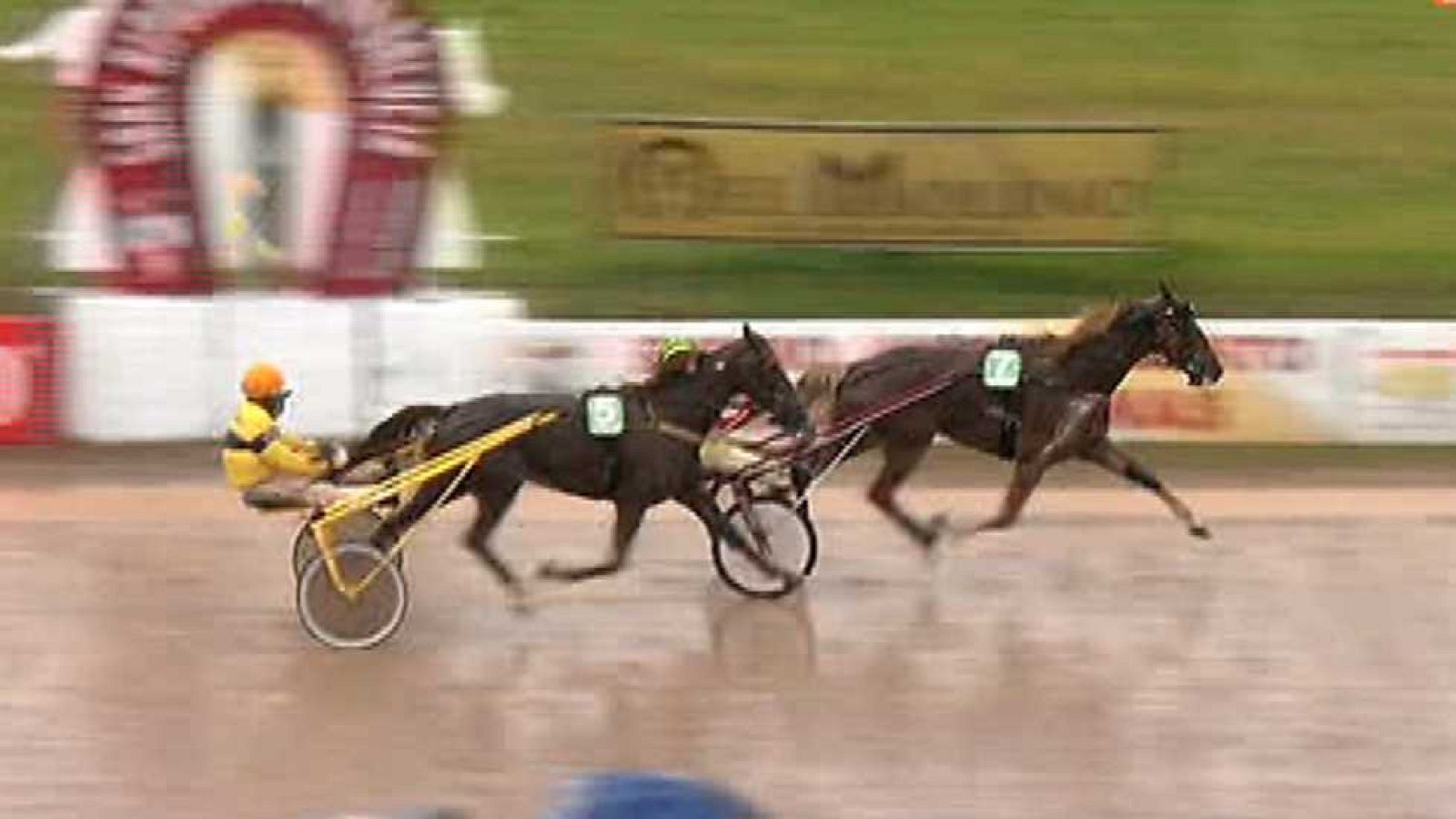 Turf - 18/01/15 - Ver ahora