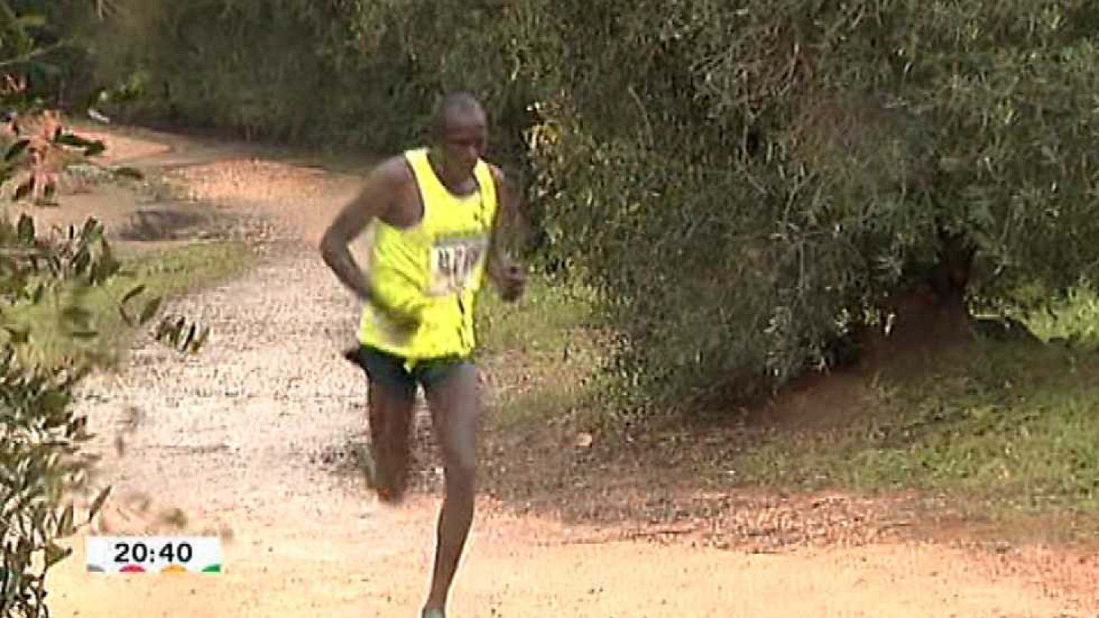Cross Internacional de Itálica - Carrera masculina - Ver ahora