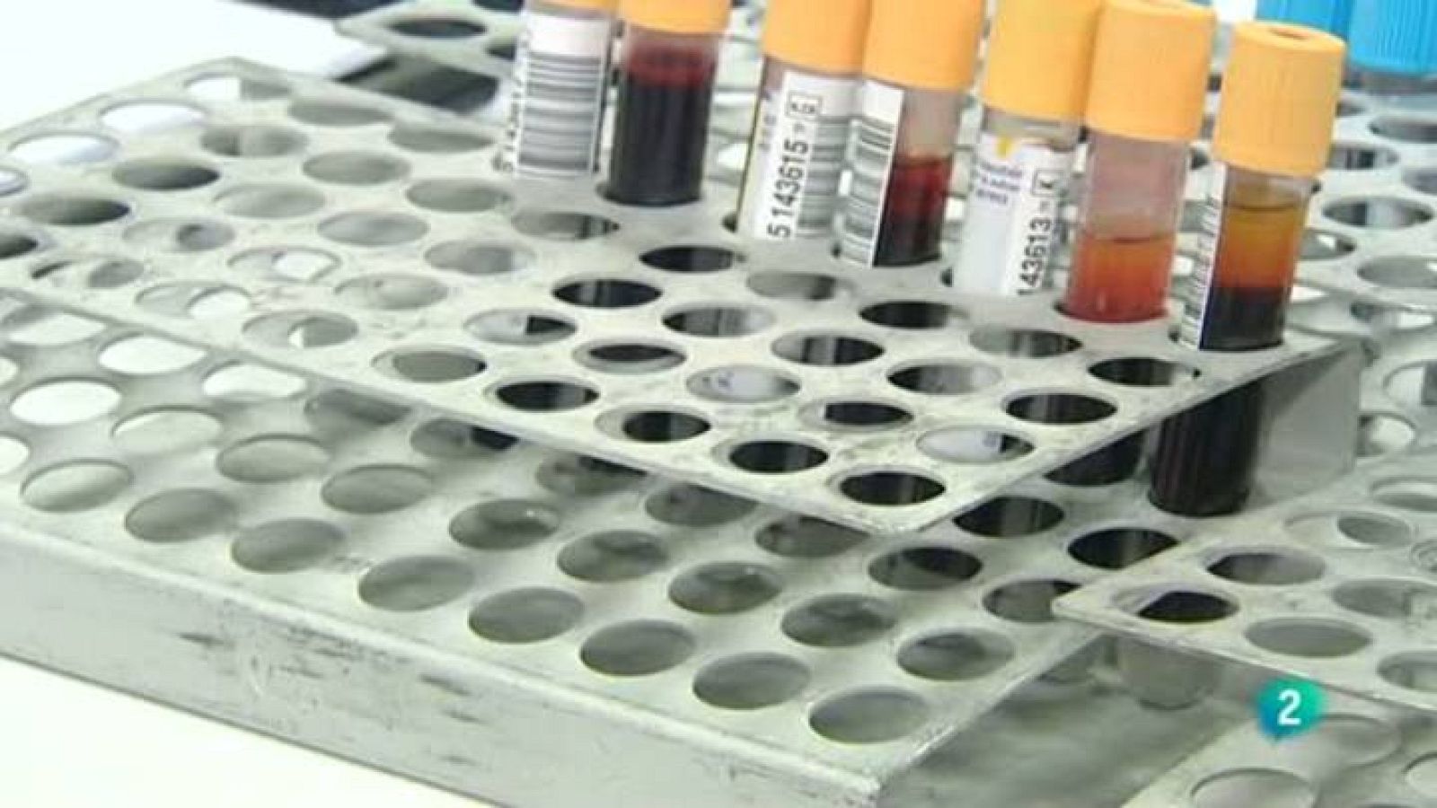 Para Todos La 2 - Debate - Donar sangre