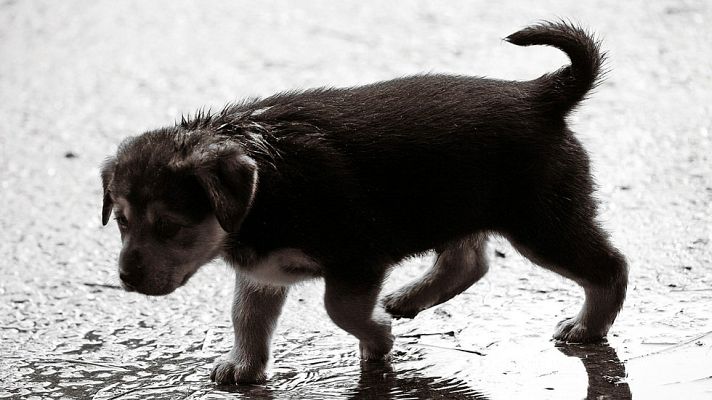 El tiempo - Lluvias fuertes en Andalucía