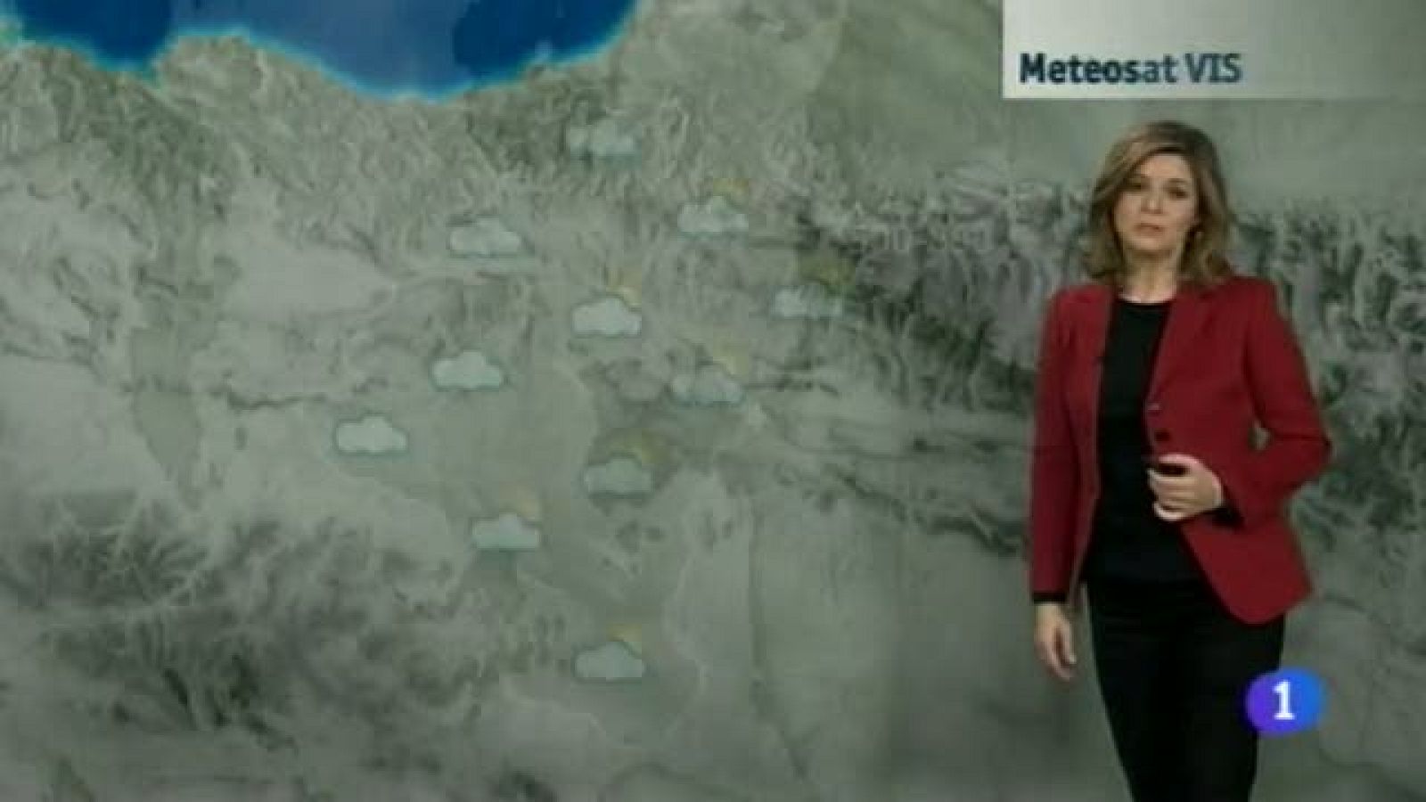 El Tiempo en la Comunidad de Navarra - 20/01/2015 | Ver