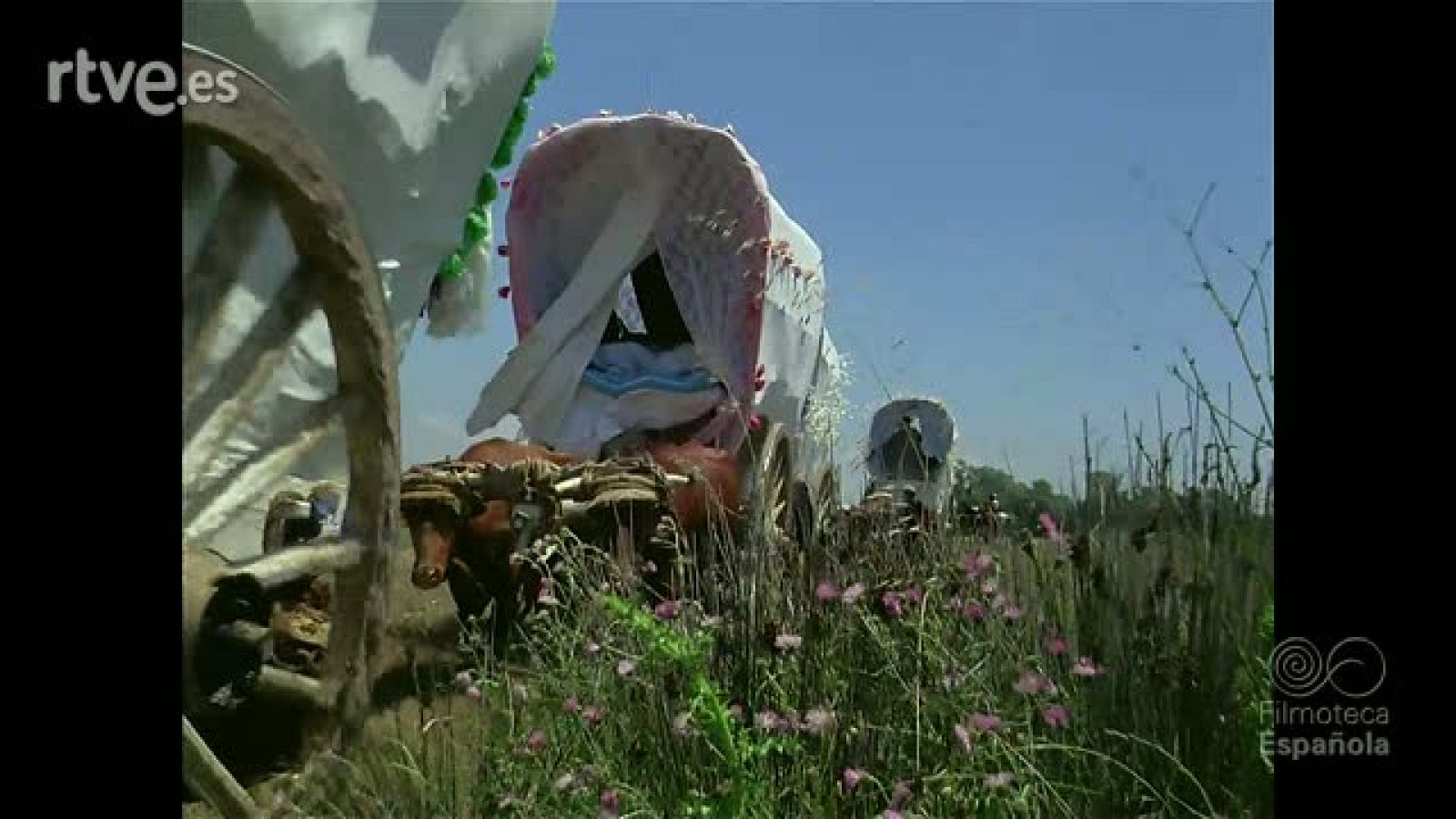 FIESTAS DE ESPAÑA - Documentales Color | Ver