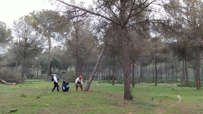 Aquí la Tierra - Recuperando la biomasa como fuente de energía
