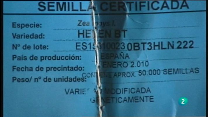 Para todos La 2 - Vídeo: Maíz transgénico de Aragón