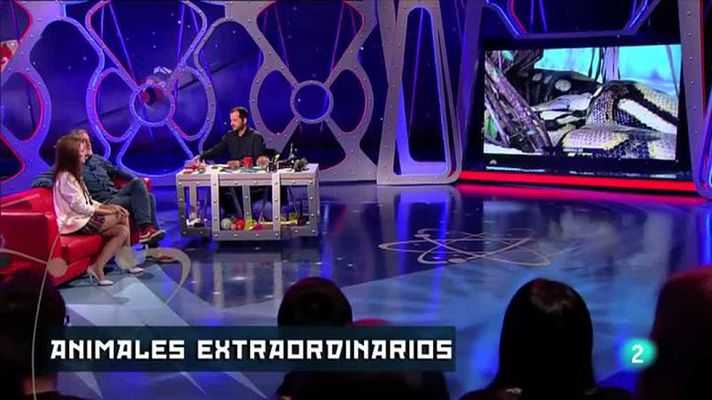 Órbita Laika - Animales muy particulares